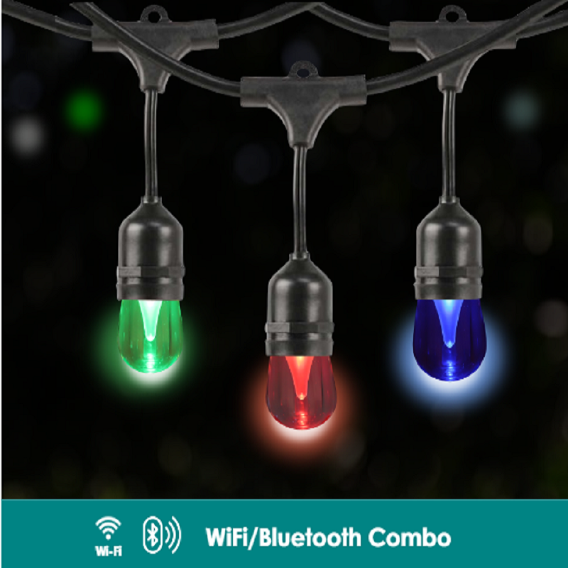 24ft WiFi/Bluetooth Combo Smart Cafe Light