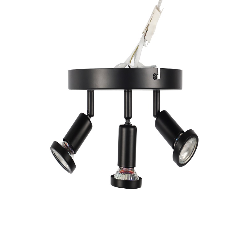 Ceiling Lamp Retrofit（Rondel In Black）